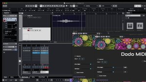 Dodo MIDI 2 - Cubase Quick Start