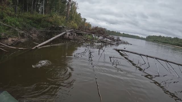 🎣МЕЛКАЯ🎣#сезонконтентаRUTUBE