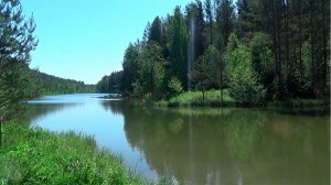 Мою Золото и ловлю рыбу в лесном озере!