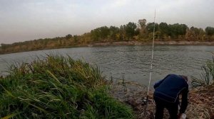 4К. Конец похода. Зачетный сазан на макуху. Себестоимость не скажу!