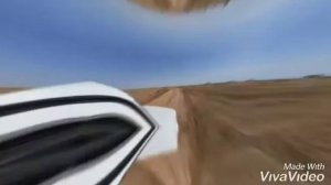 Сельский Понк