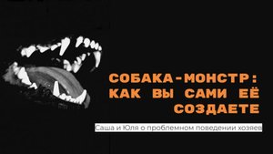 Как хозяева сами подкрепляют лай, перевозбуждение, сепарационную тревогу | Эфир в Телемосте 19.12.24