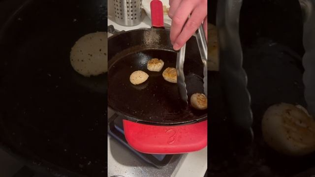 #scallops #seafood #seafoodlover #food #follow #foodie #foodblogger #foodlover #foodvlog #foodshort