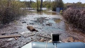 Один день в затопленном поселке