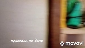 приехала проведать дачу, 19 декабря