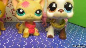 LPS: Купила ТОЛСТУЮ КРАСАВИЦУ