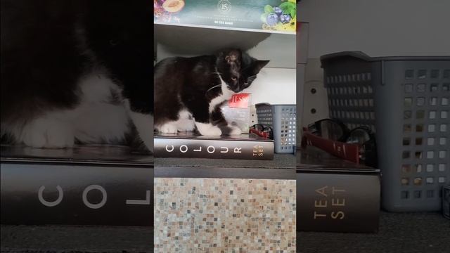 Давай играть!
