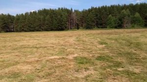 9 июля 2016 - Скошенная поляна