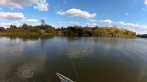 Трофейный судак на троллинг. Ловля окуня на балду. Это рекорд!