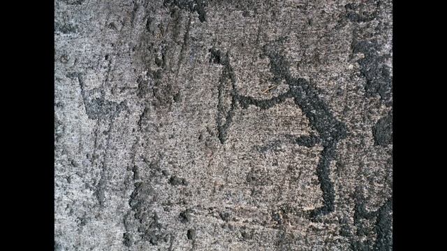 Беломорские петроглифы