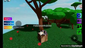 Find the  Floppa, как найти всех флопп 2