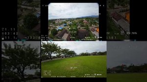 pavo pico vs pavo 20 GPS