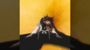 Shunsui Kyoraku BANKAI | Bleach | 4K Edit