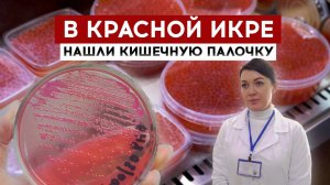 В красной икре нашли кишечную палочку