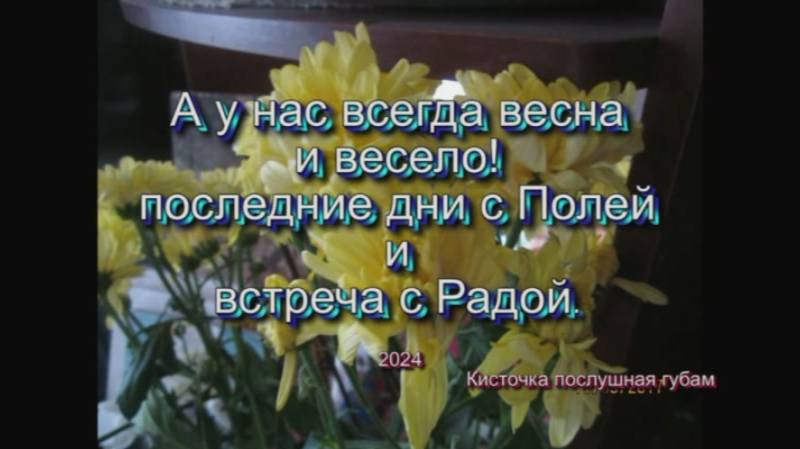 А у нас всегда весна! последние дни Поли и встреча с Радой. ноябрь2024