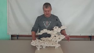 ДФ-340 Декорация для морского аквариума из биокерамики.