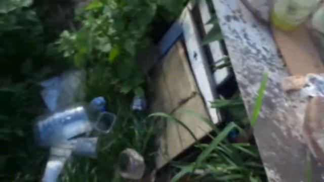 #zoom Супер подкорка для Перца, Кабачков и Баклажан заметно увеличится рост.