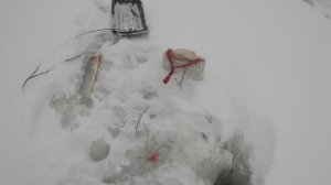 первая рыбалка в 2024 году рыба есть /из архива/