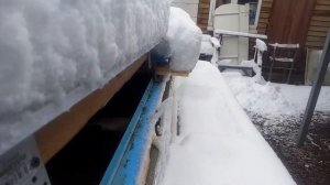 Осетровые в домашнем  УЗВ.