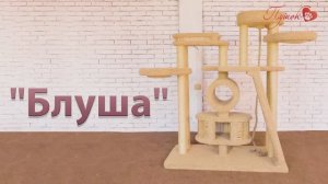 Процесс сборки комплекса «Блуша»