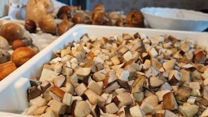 ЖАРЕНАЯ КАРТОШКА с ЛЕСНЫМИ ГРИБАМИ  Как почистить, порезать и пожарить грибы? Как заморозить грибы?