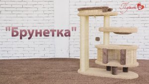Процесс сборки комплекса «Брунетка»