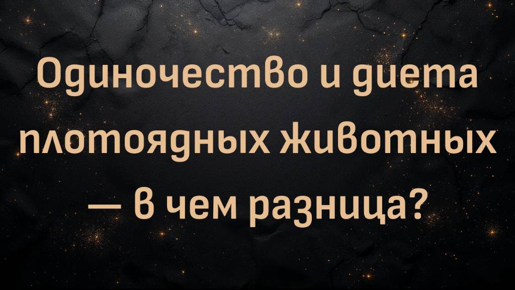 Одиночество и диета плотоядных животных — в чем разница?