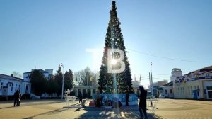 Олени вернулись в центр Тихорецка