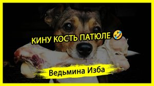 КИНУ КОСТЬ ПАТЮЛЕ 🤣. #ВЕДЬМИНАИЗБА ▶️ #МАГИЯ