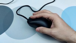 Обзор Zowie EC3-C. Больше чем просто новый размер!