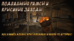 S.T.A.L.K.E.R. 2 - Крысиное царство и подвальная ДРАМА