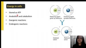 Microbial Metabolism | GATE Coaching | XL