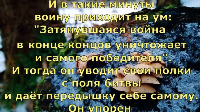 П Коэльо  Об упрямстве и настойчивости  Притча 9  Книга Воина Света #философскаяпроза#притчи