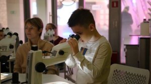 9 ноября 2024 г., Заповедное посольство, парк Зарядье