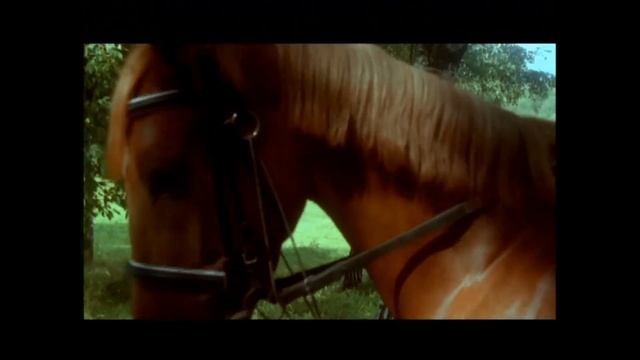 Как упоительны в России вечера 1080 смотреть онлайн