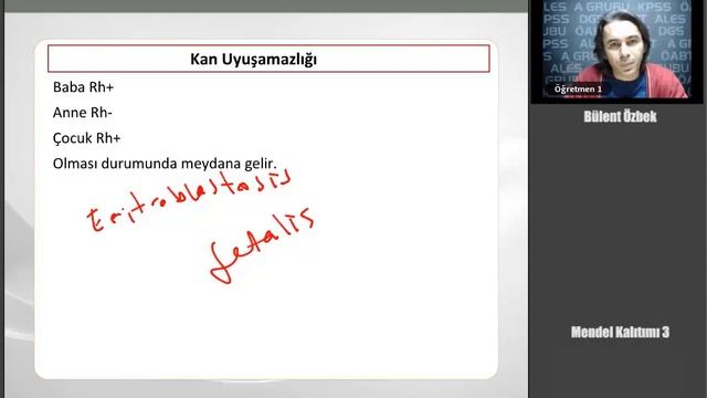 40 KPSS ÖABT BİYOLOJİ Mendel Kalıtımı 3 смотреть онлайн