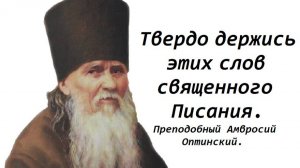 Не надейся и не ищи безоблачной и спокойной жизни. Преподобный Амвросий Оптинский