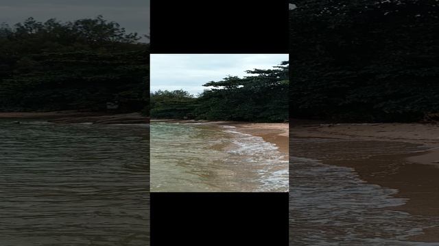 1000558987.mp4