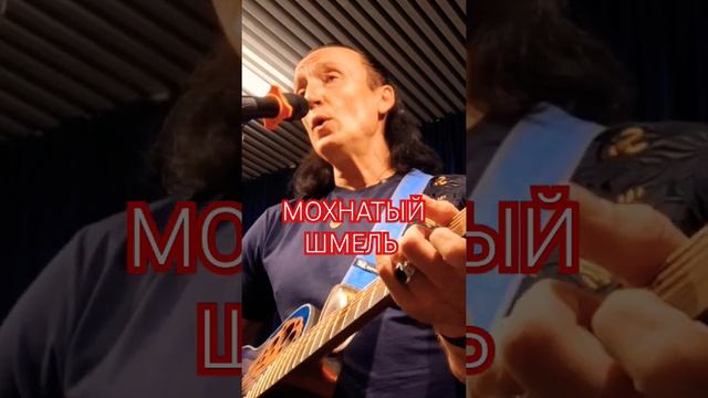 Мохнатый шмель #guitarcover