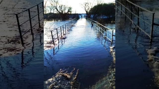 Не торопись, тропинка узкая. Муз. А. Крепких, ст. В. Катанова.Народный хор птицефабрики "Орловская"