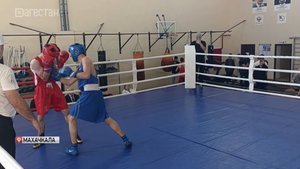 В Махачкале прошло первенство Школы высшего спортивного мастерства им. А.Алиева по боксу