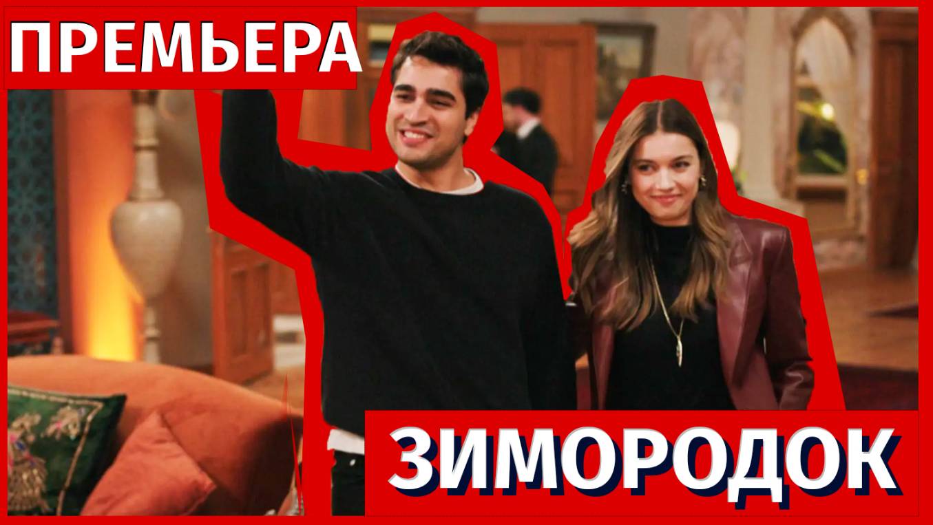 Зимородок 88 серия (3 сезон 15 серия) - Попытка все восстановить!