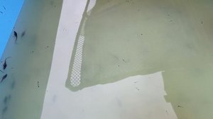 Осетровые будни.