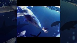 Песня для кита