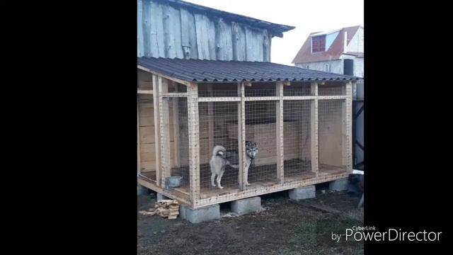 Строительство вольера для Хару. Начало 19.01.2019г. На улице мороз -27. смотреть онлайн