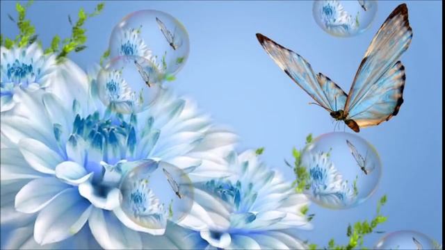 Жизнь бабочки недолговечна... (мир бабочек) смотреть онлайн