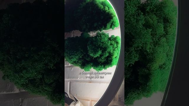 Начните 2024 год с ИЗМЕНЕНИЙ!❤️Добавьте в свое помещение крутые изделия из мха +79656074796