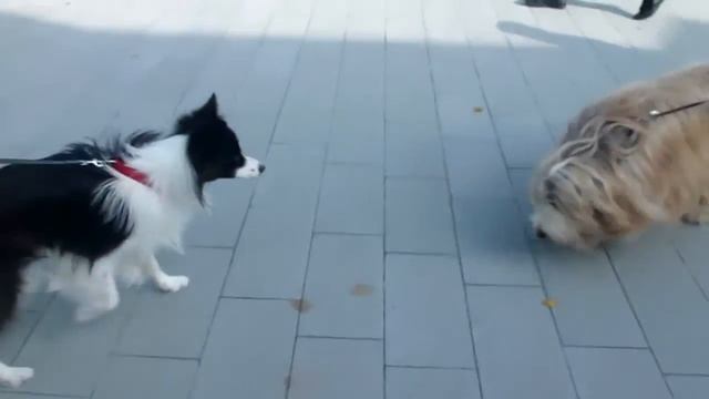 Kai смотреть онлайн