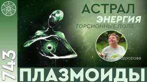 #743 Плазмоиды четвертого уровня плотности. Торсионные поля и материя. Порталы, соединяющие миры.