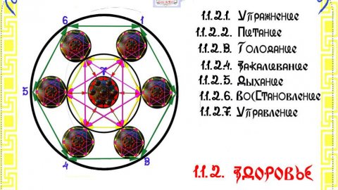 ЛЕКЦИЯ ЗДОРОВЬЯ ВВОДНАЯ
